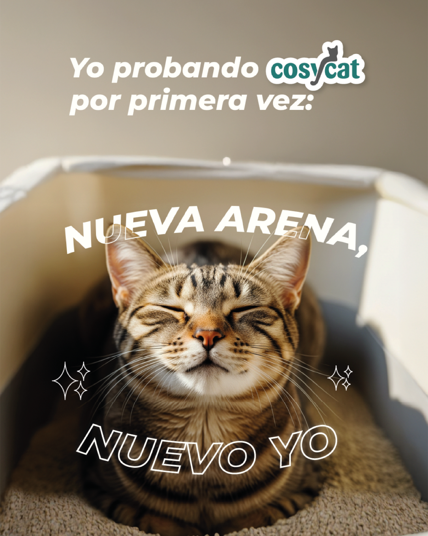 Publicación sobre una nueva arena CosyCat