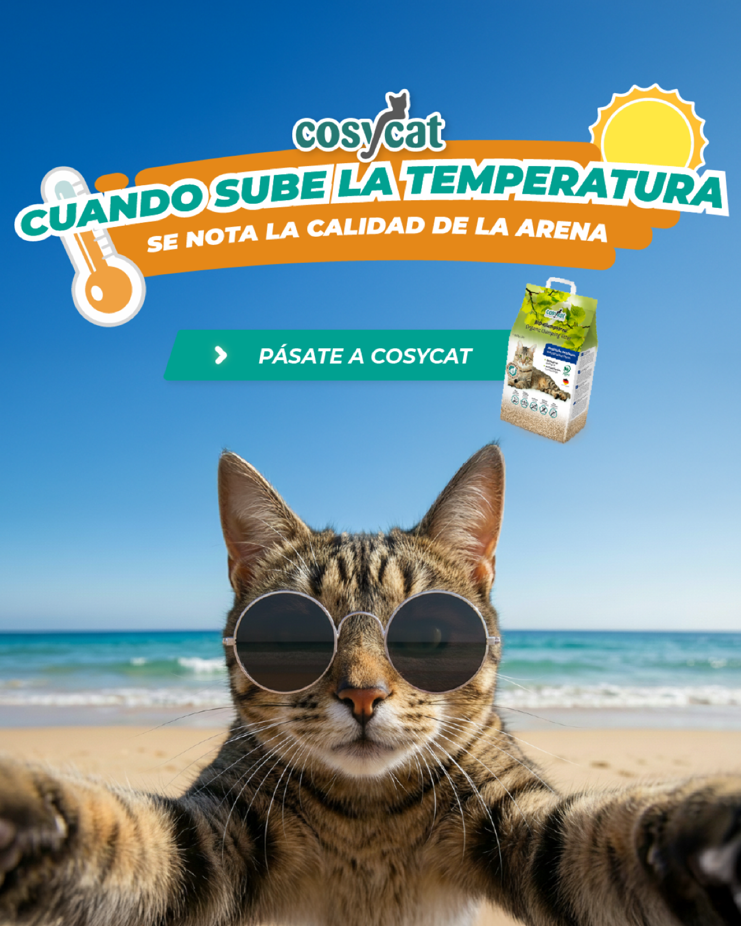 Publicación de verano de CosyCat